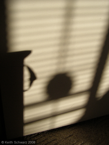 Shadow