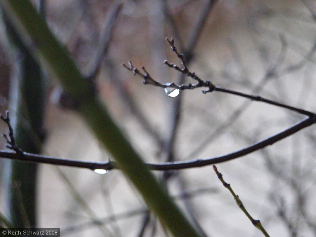 Droplet
